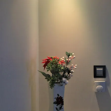 Apartment Cozy, Spacious Away From Home! Sea View Zadar